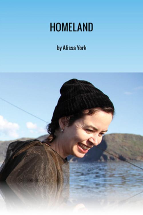 Cover of the book Homeland by Alissa York, House of Anansi Press Inc