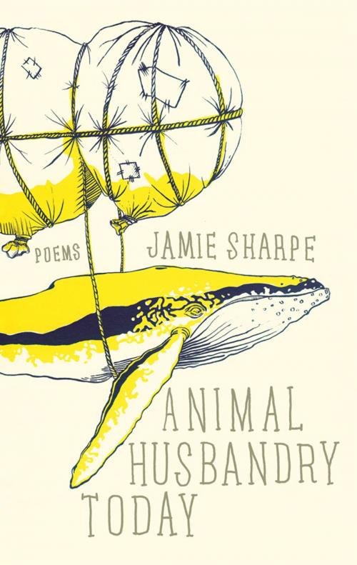 Cover of the book Animal Husbandry Today by Jamie Sharpe, ECW Press