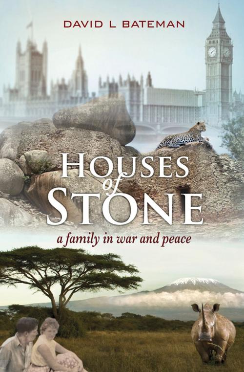 Cover of the book Houses of Stone by David L Bateman, David Bateman Ltd