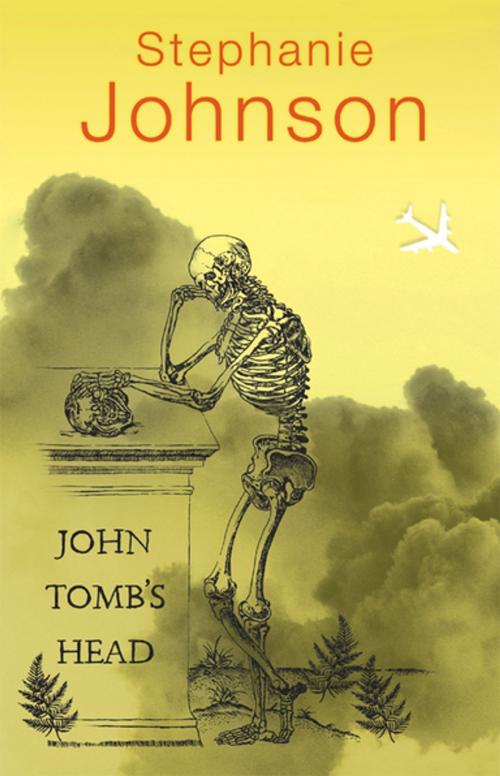 Cover of the book John Tomb's Head by Stephanie Johnson, Penguin Random House New Zealand
