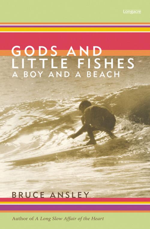 Cover of the book Gods And Little Fishes by Bruce Ansley, Penguin Random House New Zealand