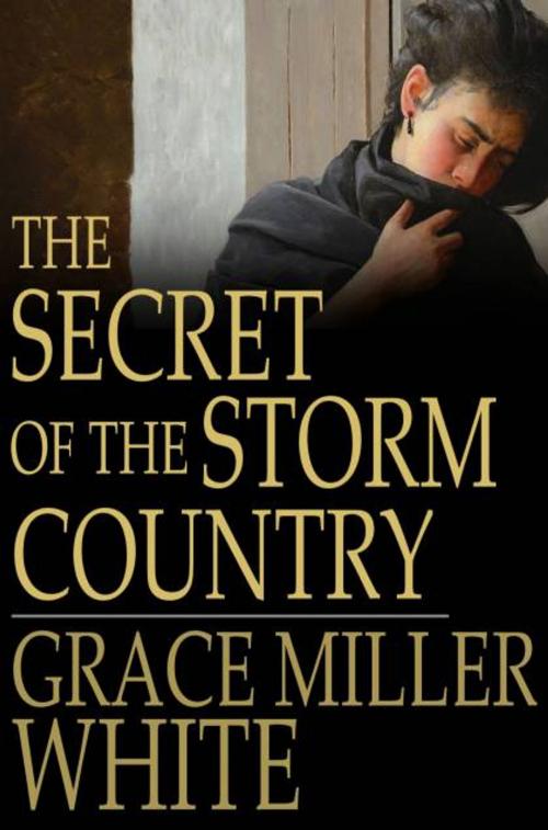 Cover of the book The Secret of the Storm Country by Grace Miller White, The Floating Press