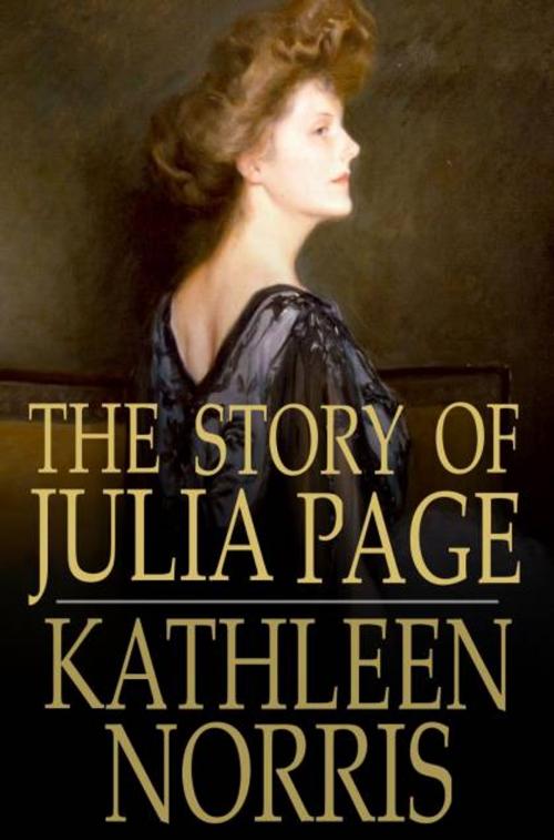 Cover of the book The Story Of Julia Page by Kathleen Norris, The Floating Press