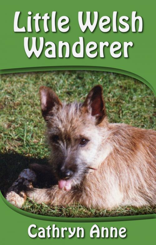 Cover of the book Little Welsh Wanderer by Cathryn Anne, Fast Print Publishing