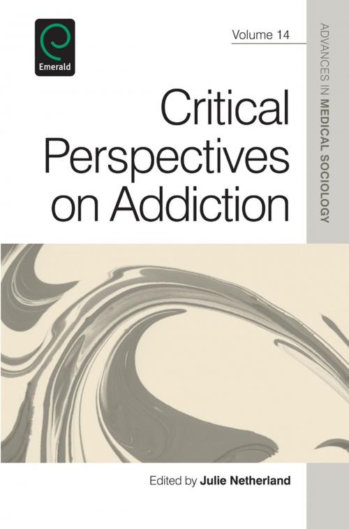 Cover of the book Critical Perspectives on Addiction by Barbara KatzRothman, Emerald Group Publishing Limited