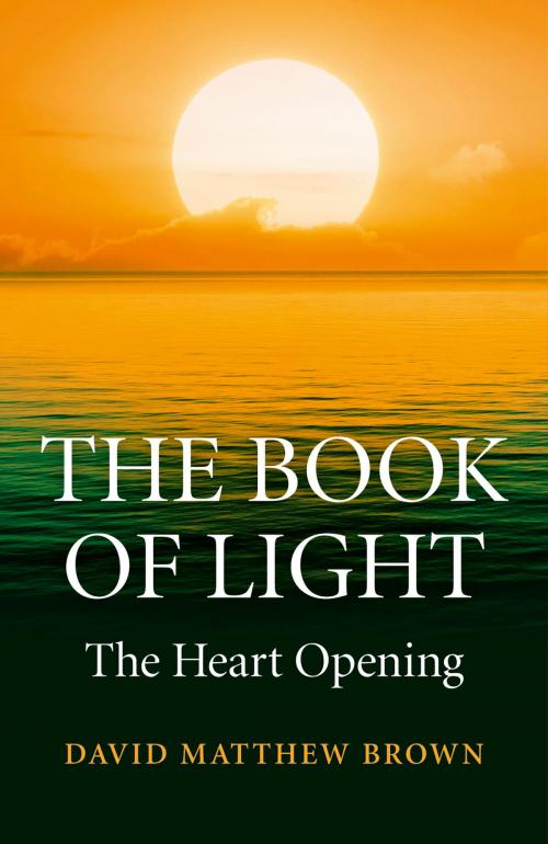 Cover of the book The Book of Light by David Matthew Brown, John Hunt Publishing