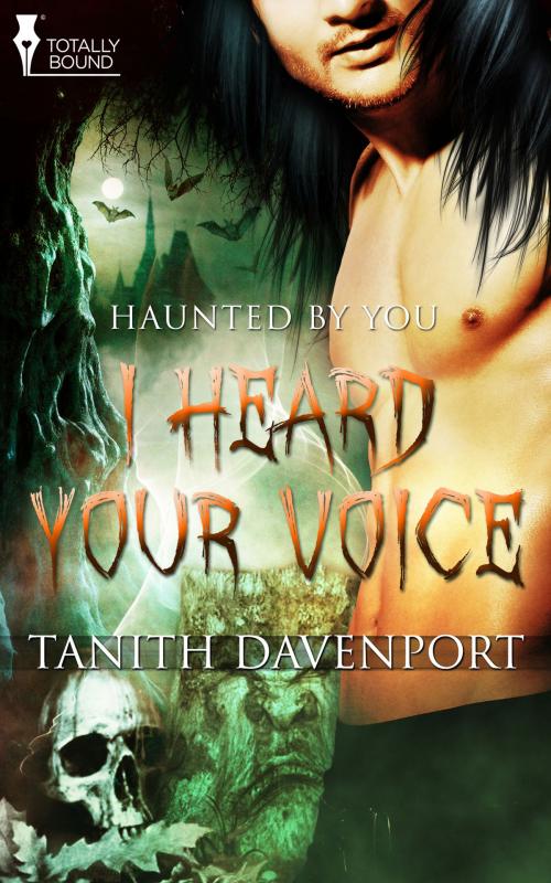Cover of the book I Heard Your Voice by Tanith Davenport, Totally Entwined Group Ltd