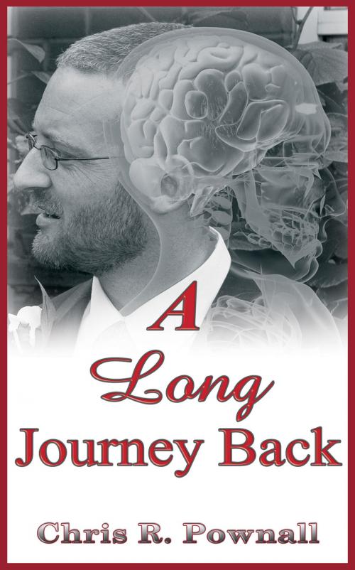 Cover of the book A Long Journey Back by Chris R. Pownall, Pneuma Springs Publishing