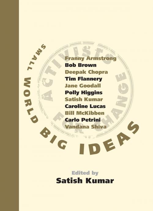 Cover of the book Small World Big Ideas: There's an Activist in All of Us and You Don't Have to Shout to be Heard by , The Ivy Press