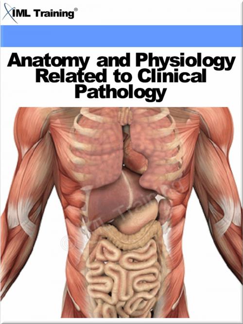 Cover of the book Anatomy and Physiology Related to Clinical Pathology (Human Body) by , IML Training