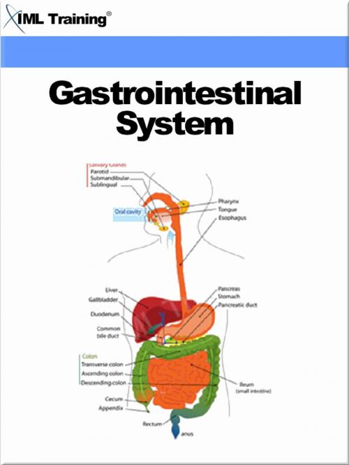Cover of the book Gastrointestinal System (Human Body) by , IML Training