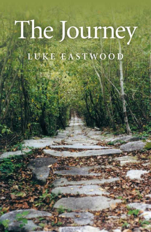 Cover of the book The Journey by Luke Eastwood, John Hunt Publishing