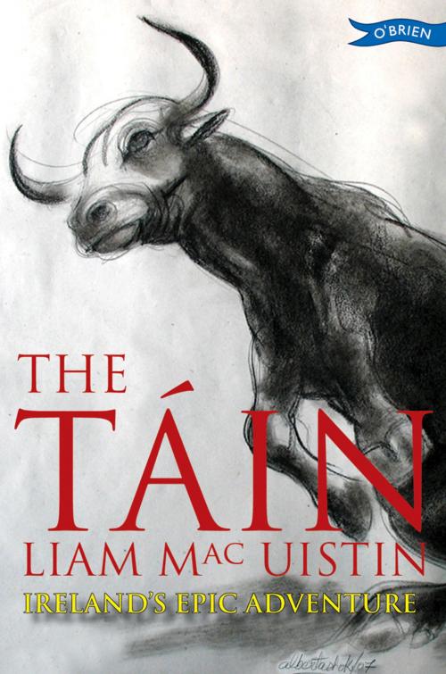 Cover of the book The Táin by Liam Mac Uistin, The O'Brien Press