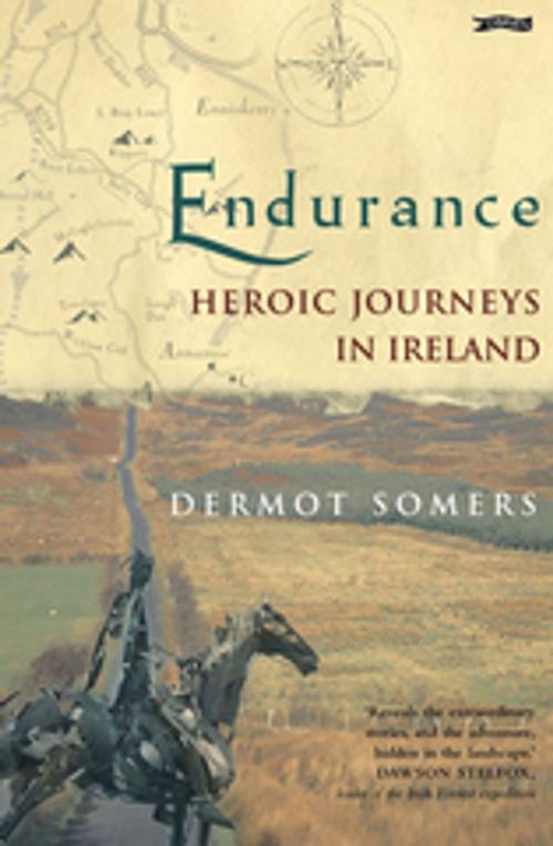 Cover of the book Endurance by Dermot Somers, The O'Brien Press