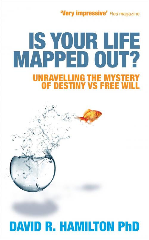 Cover of the book Is Your Life Mapped Out? by David Hamilton, Hay House