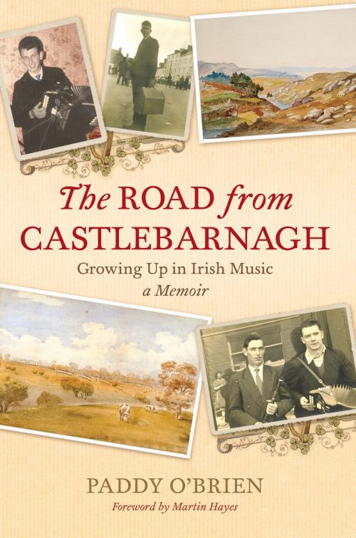 Cover of the book The Road from Castlebarnagh by Paddy O'Brien, Orpen Press