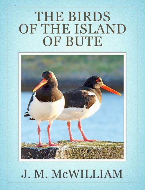 Cover of the book The Birds of the Island of Bute by J. M. McWilliam, Aire Press