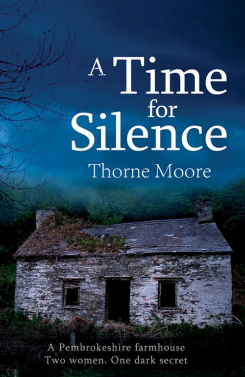 Cover of the book A Time for Silence by Thorne Moore, Honno Press