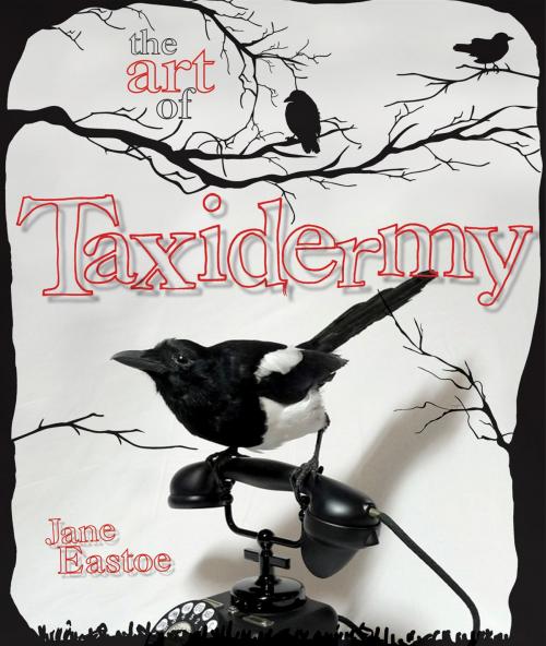 Cover of the book The Art of Taxidermy by Jane Eastoe, Pavilion Books