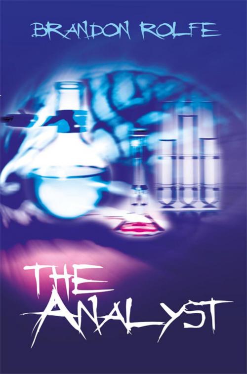 Cover of the book The Analyst by Brandon Rolfe, Dolman Scott Publishing