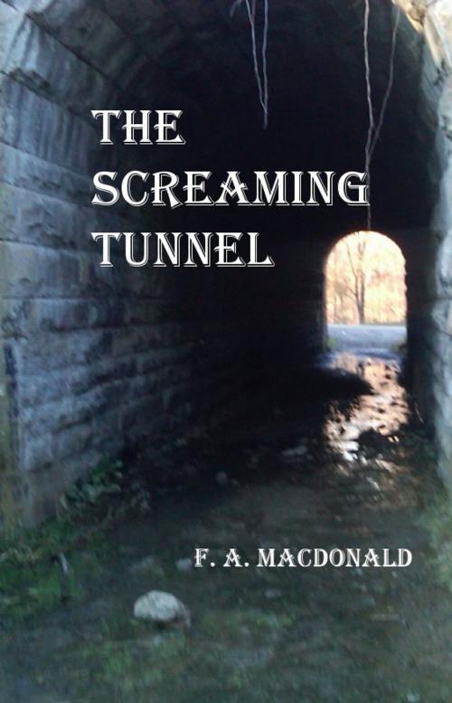 Cover of the book The Screaming Tunnel by Frances MacDonald, The Key Publishing House Inc.