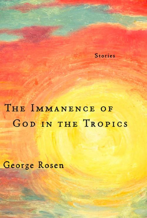 Cover of the book The Immanence of God in the Tropics by George Rosen, Leapfrog Press