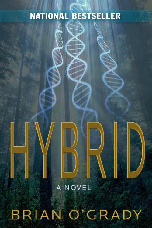 Cover of the book Hybrid by Brian O'Grady, Fiction Studio Books