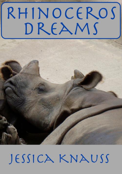 Cover of the book Rhinoceros Dreams by Jessica Knauss, Açedrex Publishing
