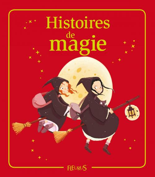 Cover of the book Histoires de magie by Juliette Saumande, Eléonore Cannone, Emmanuelle Lepetit, Charlotte Grossetête, Anne Gravier, Fleurus
