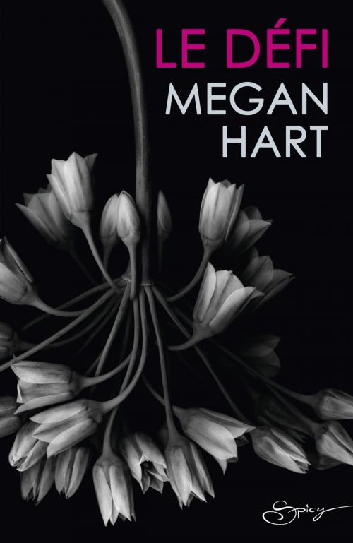 Cover of the book Le défi by Megan Hart, Harlequin