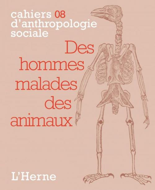 Cover of the book Des hommes malades des animaux by Frederick Keck, Editions de  L'Herne