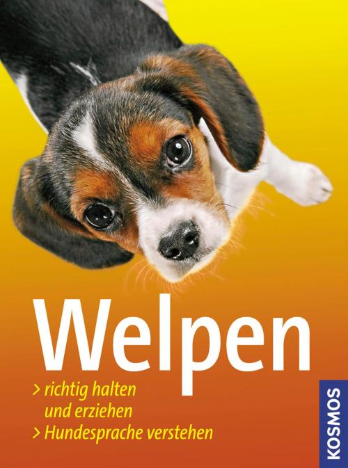 Cover of the book Welpen by Perdita Lübbe, Frauke Loup, Barbara Schöning, Franckh-Kosmos Verlags-GmbH & Co. KG