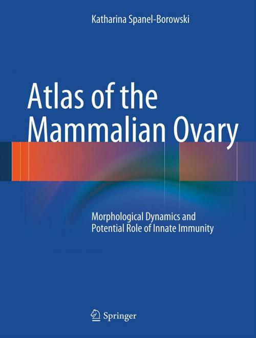 Cover of the book Atlas of the Mammalian Ovary by Katharina Spanel-Borowski, Springer Berlin Heidelberg