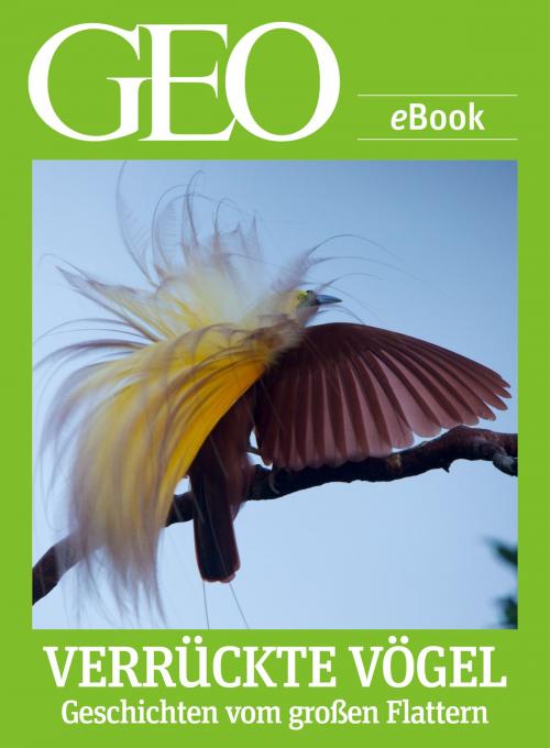 Cover of the book Verrückte Vögel: Geschichten vom großen Flattern (GEO eBook) by , GEO