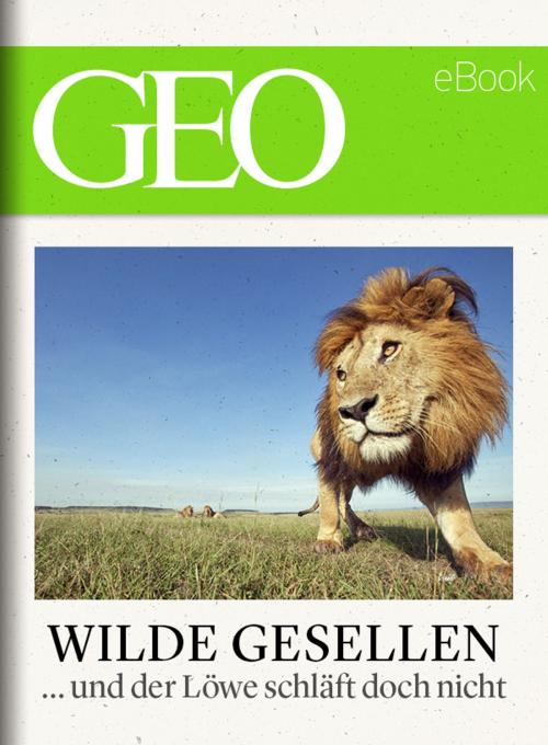 Cover of the book Wilde Gesellen: 13 Expeditionen in die Welt der Tiere (GEO eBook) by , GEO