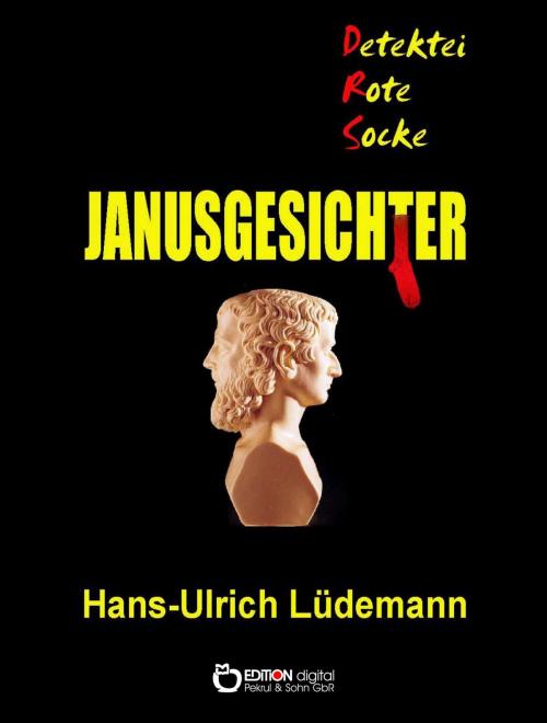 Cover of the book Janusgesichter by Hans-Ulrich Lüdemann, EDITION digital