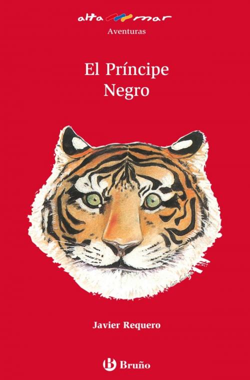 Cover of the book El Príncipe Negro (ebook) by Javier Requero, Editorial Bruño