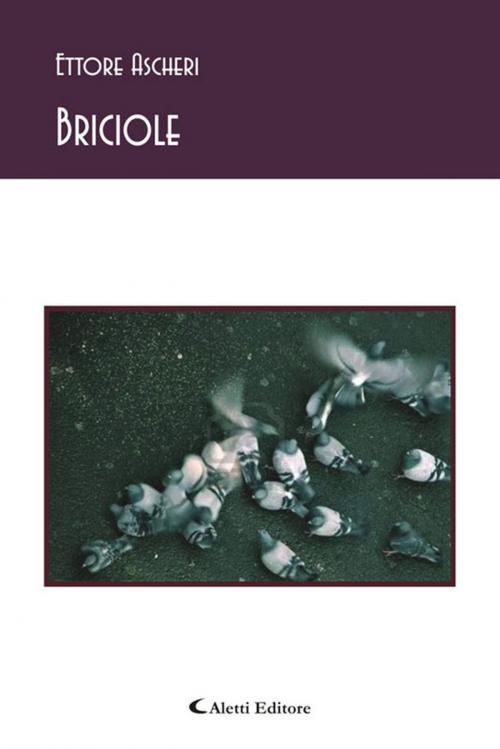 Cover of the book Briciole by Ettore Ascheri, Aletti Editore