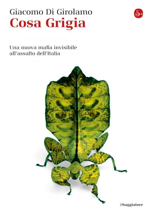 Cover of the book Cosa Grigia by Giacomo Di Girolamo, Il Saggiatore