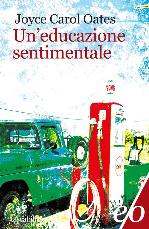 Cover of the book Un'educazione sentimentale by Joyce Carol Oates, Edizioni e/o