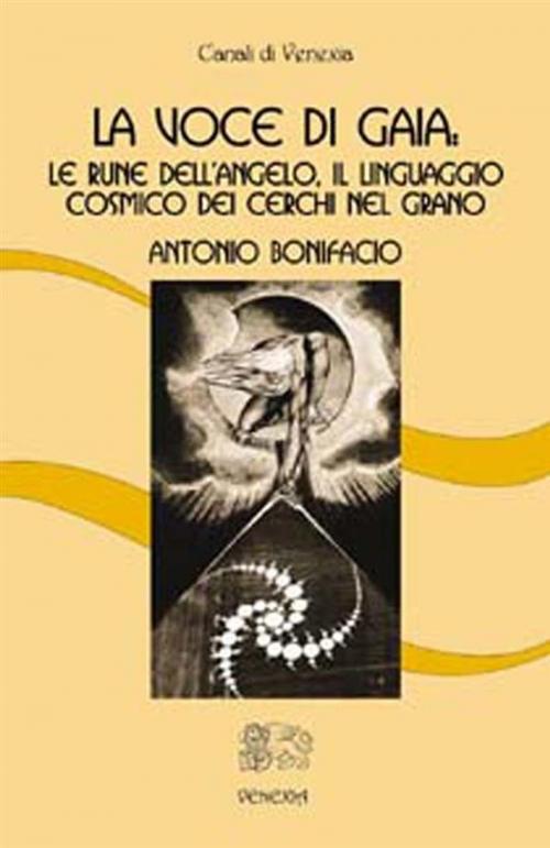Cover of the book La Voce di Gaia: le rune dell’angelo, il linguaggio cosmico dei cerchi nel grano by Antonio Bonifacio, Venexia