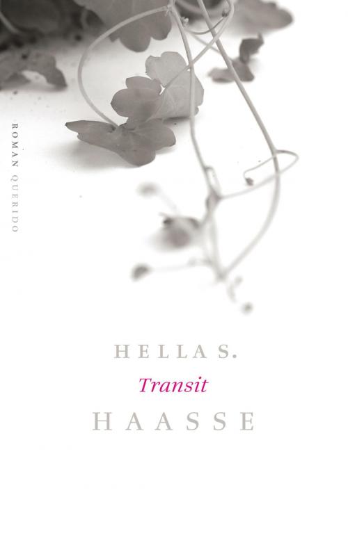 Cover of the book Transit by Hella S. Haasse, Singel Uitgeverijen