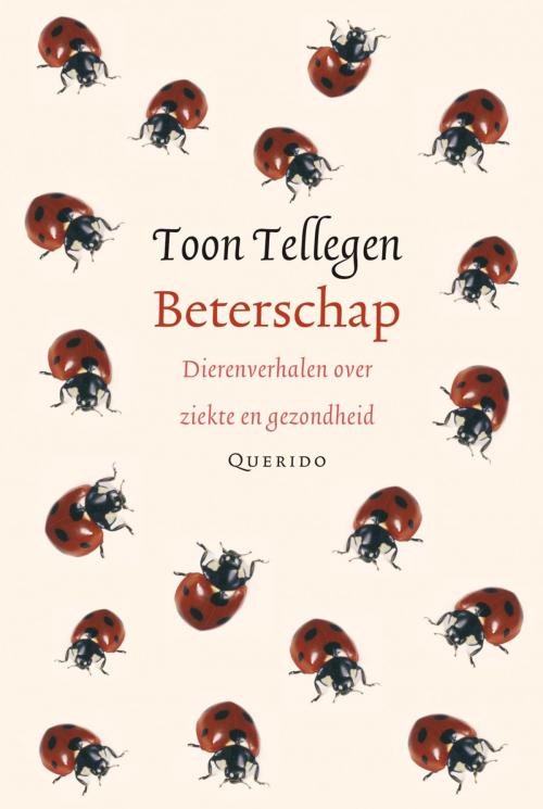 Cover of the book Beterschap by Toon Tellegen, Singel Uitgeverijen