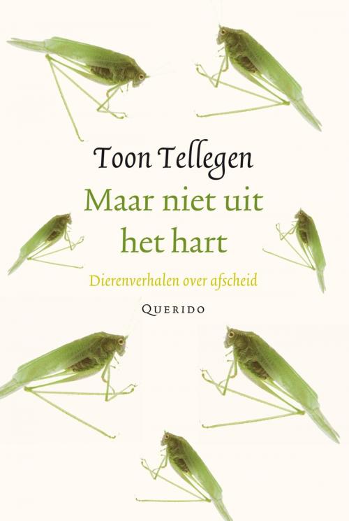 Cover of the book Maar niet uit het hart by Toon Tellegen, Singel Uitgeverijen