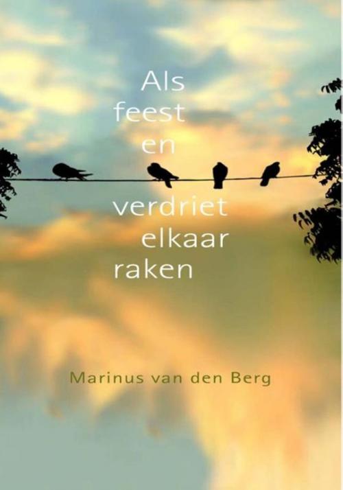 Cover of the book Als feest en verdriet elkaar raken by Marinus van den Berg, VBK Media