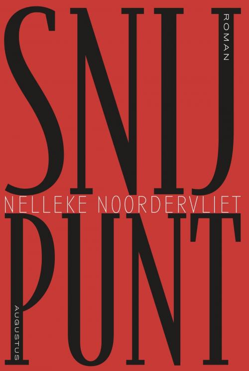 Cover of the book Snijpunt by Nelleke Noordervliet, Atlas Contact, Uitgeverij