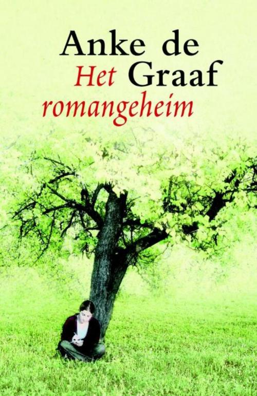 Cover of the book Het romangeheim by Anke de Graaf, VBK Media