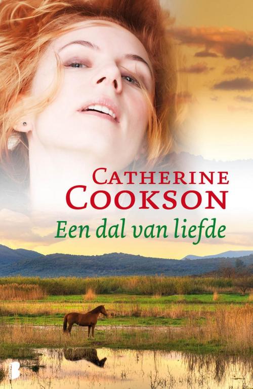 Cover of the book Een dal van liefde by Catherine Cookson, Meulenhoff Boekerij B.V.
