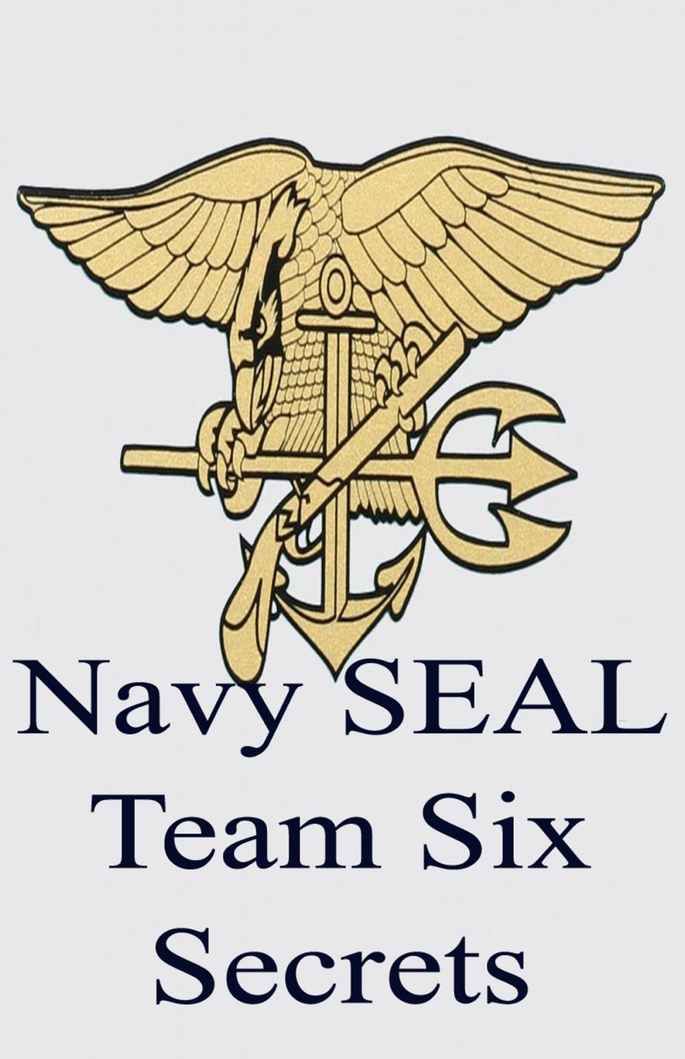 Big bigCover of Navy SEAL Team Six Secrets