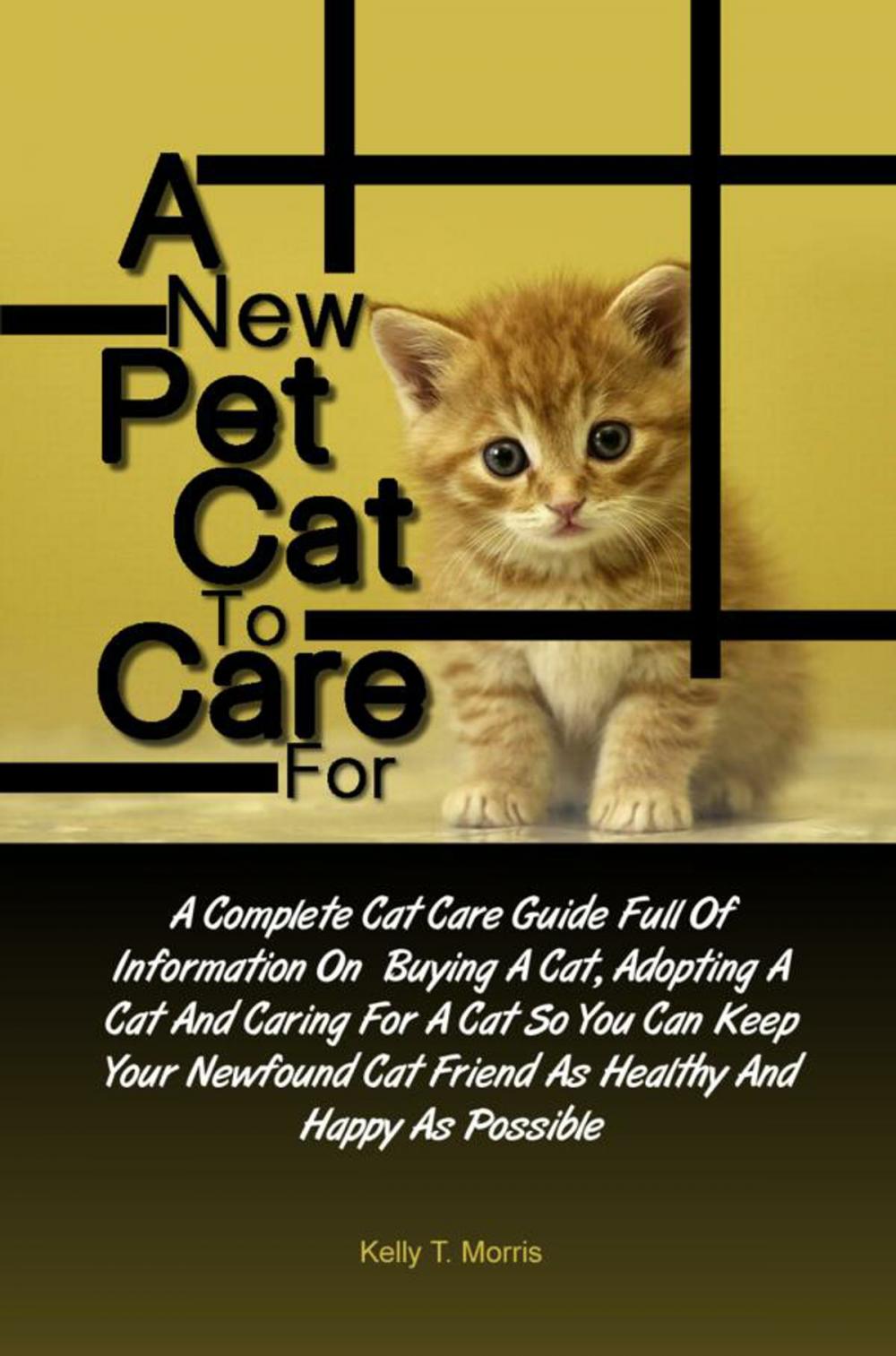 Big bigCover of A New Pet Cat To Care For